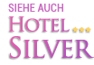 Hotel Silver Milano Marittima
